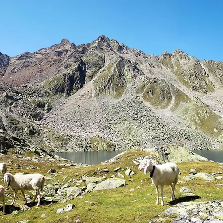 Bergsteiger - By Interhome Casa de Férias